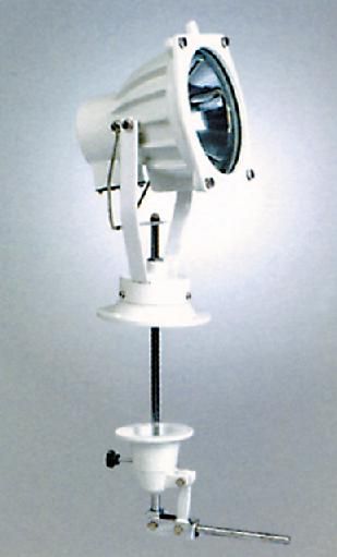 ���� � ������ ����������� �����������