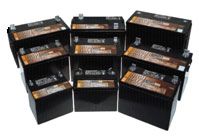 ����������� JOHNSON CONTROL (�&D TECHNOLOGIES) UPS12-200