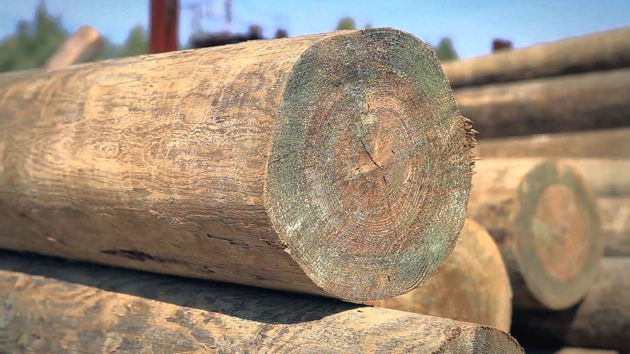 ���������� ����� ���, ����������� ������������ ���������, ����� 13 �