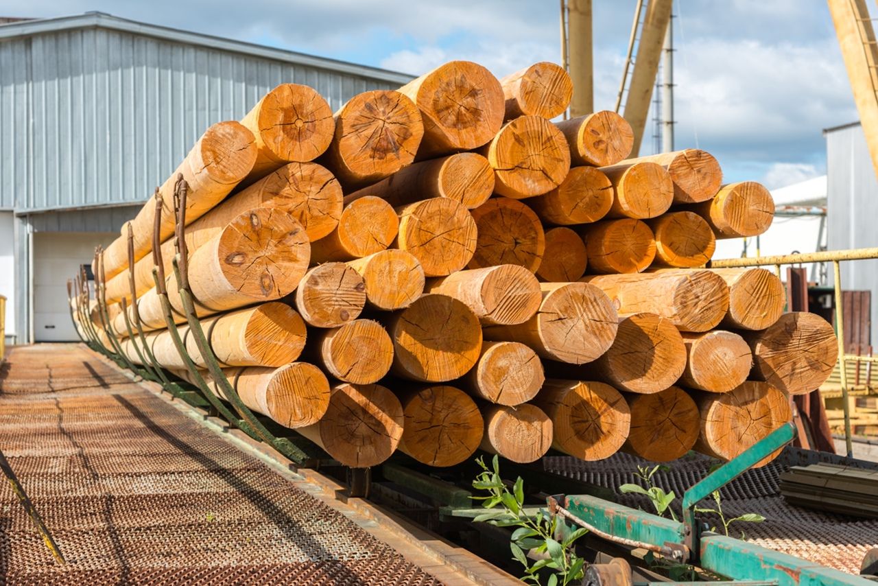 ���������� ����� ��� ����������� ������������ ���������, ����� 11 �