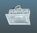���������� TL20WMH-01 EL 1x70W downlight (���������� ����)), ������������ ��� ���� "������", ������