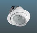 ���������� TL20WMH-02 EL 1x70W downlight (���������� ����)), ������������ ��� ���� "������", ������