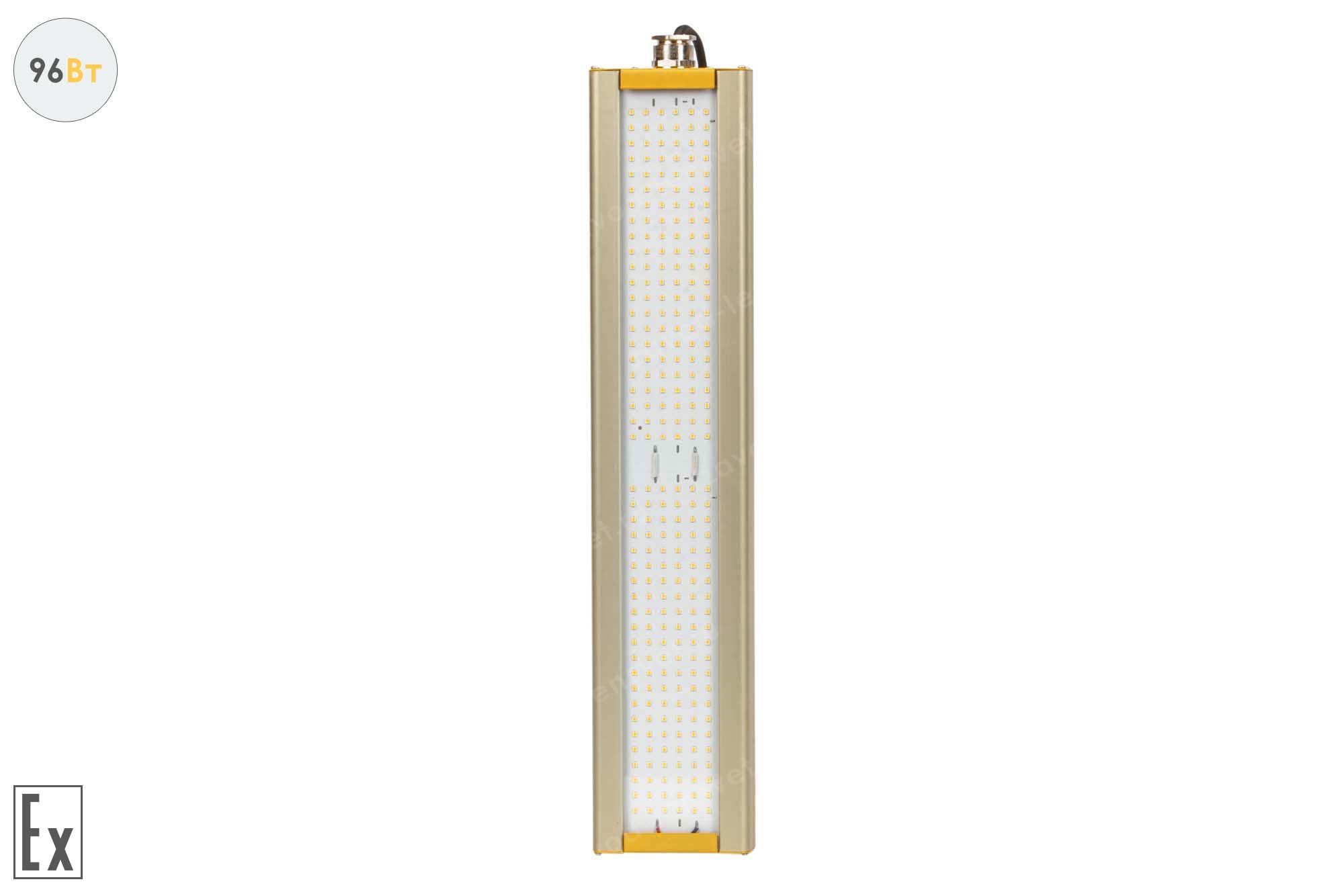 ������ ���������������� GOLD, ������������� U-1, 96 ��, ������������ ����������