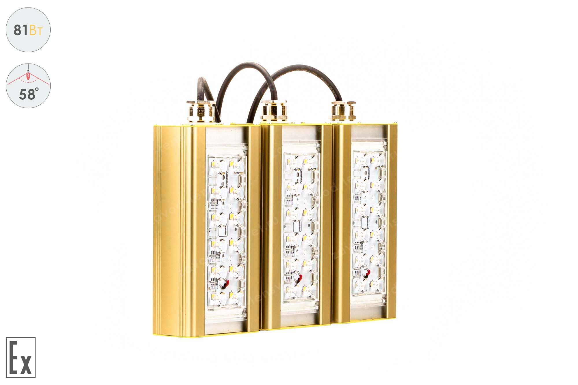 ��������� ���������������� GOLD, ������� K-3, 81 ��, 58�