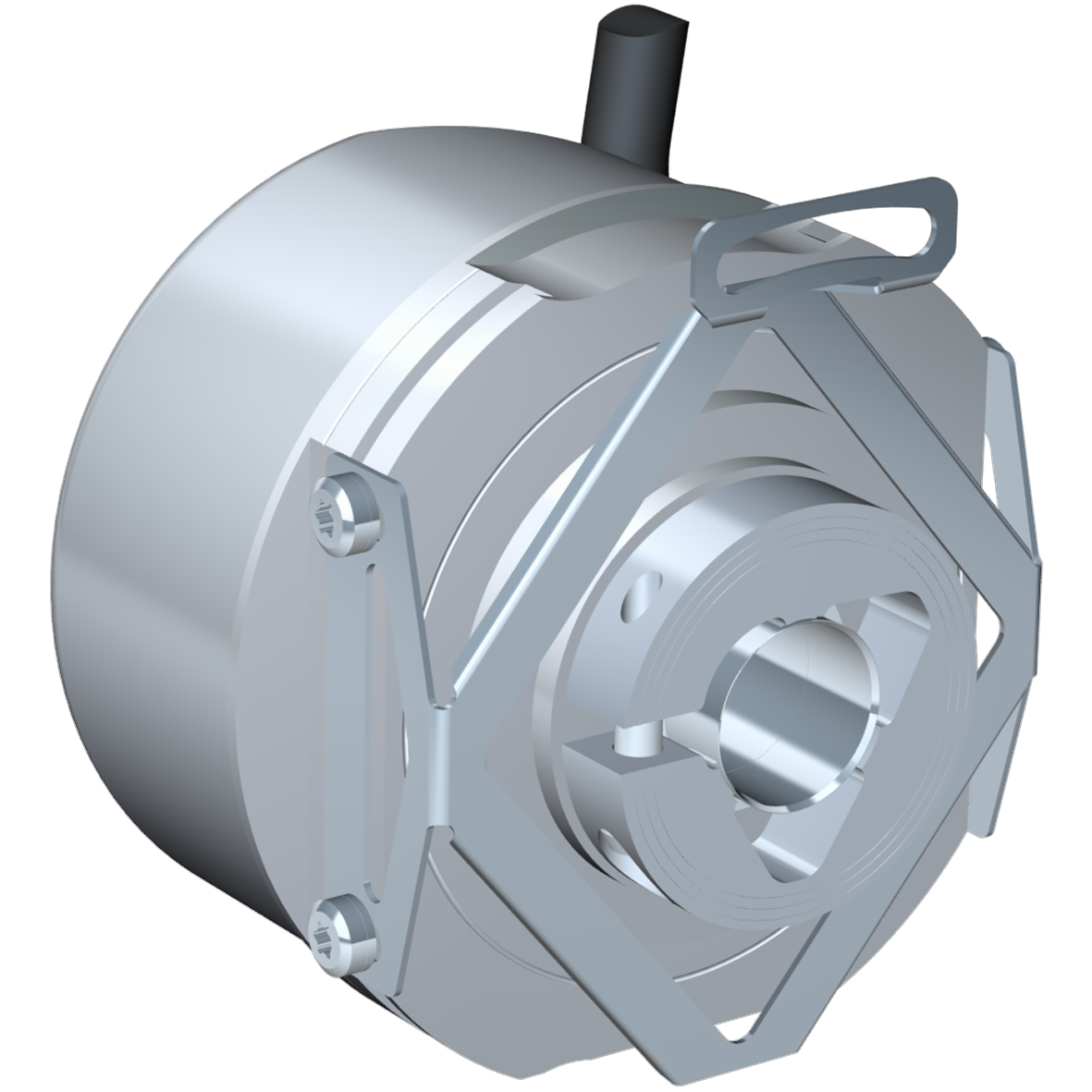 ������������� ��������