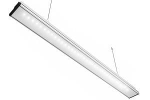 �-�������� - 36 �� ������������ ������������ ������������������� ����������