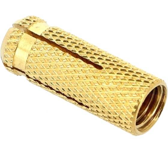 ����� �������� �8