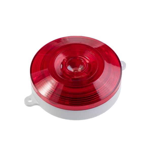 ����-24-���2