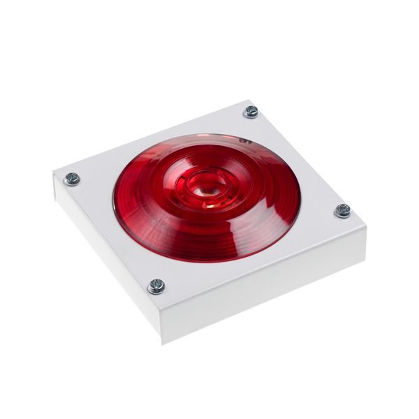 ����-12-���1 ��/����-24-���1 ��