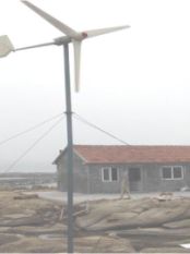 �������������� FD300