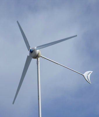 �������������� ���-2/3,2-3