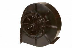 ���, �� �������� � ����������� ��� ������ � ����� ���� ������