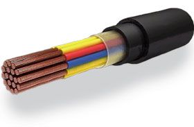 ����. ������ ������� ����