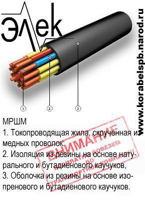 ����. ������ ����