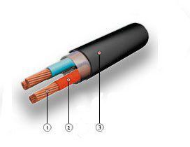 ���� ������� ������