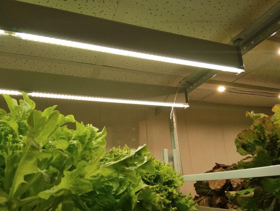 ������������� ������� ��� AGROASPECT � ������ ����������� �� 6���, 2000��