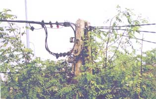 ����������� ���