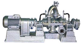 ������������ ������ ���� ��