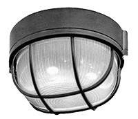 ���������� ��� ���� � ���� 100�� � �������� ���� �����, ������