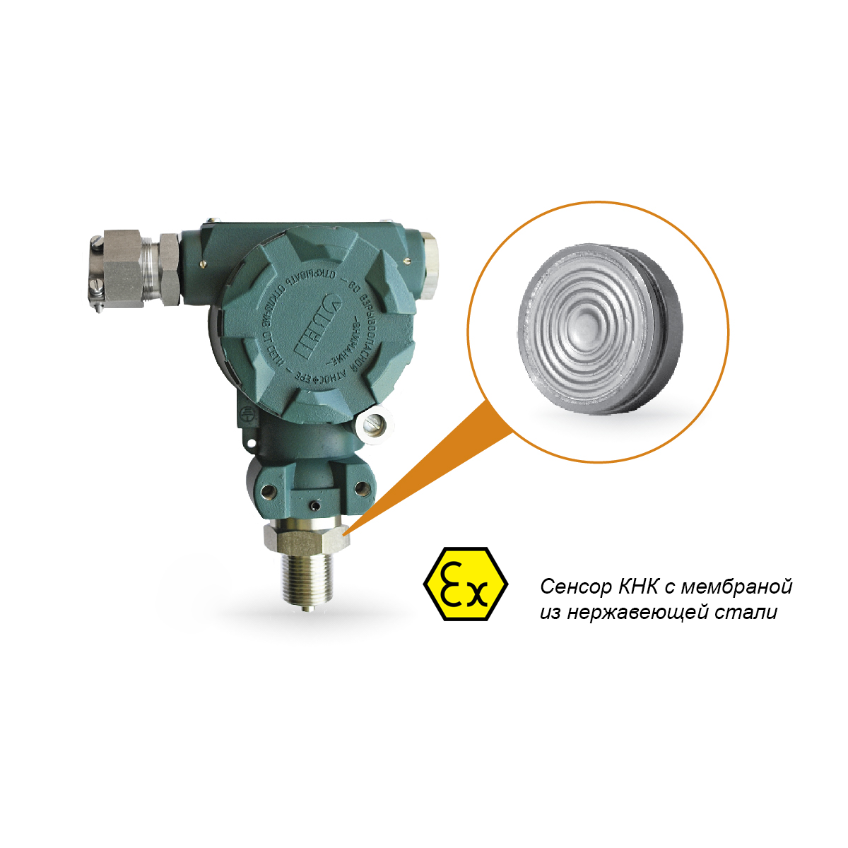 ��100 ������ 115-Exd ������ �������� �� ������������������� ����������