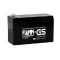 �������������� ������� Fiamm FG 20721 (12V 7.2Ah)