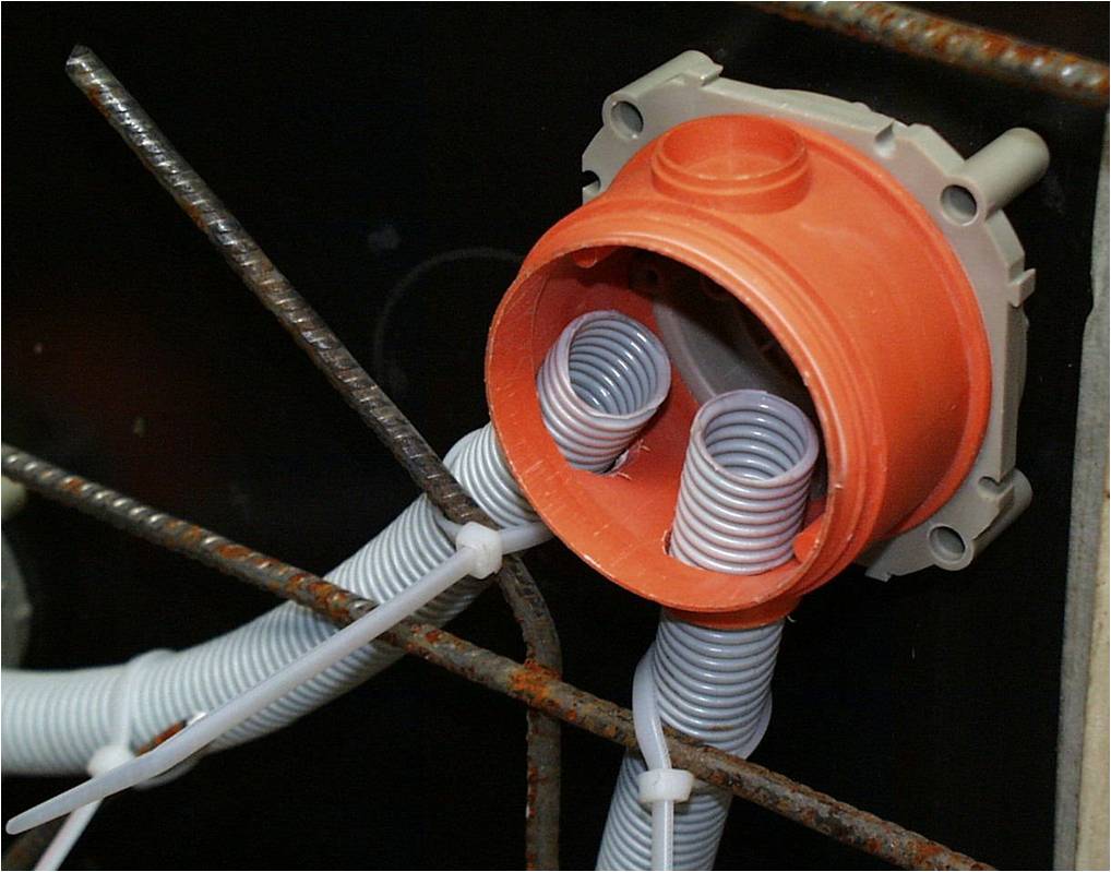 ������ ��������� ��� � ��������