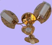 ������ Foton