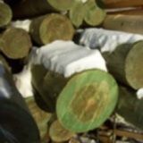 ����� ��� ���������� ������ �� 6,5 - 11 �.