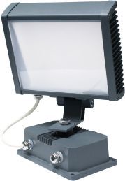 ������������ ������������ ���������� ���-31-1