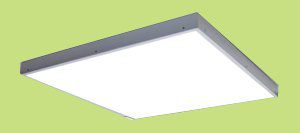 ������������ ����������   "���������" ���-3200-36-001