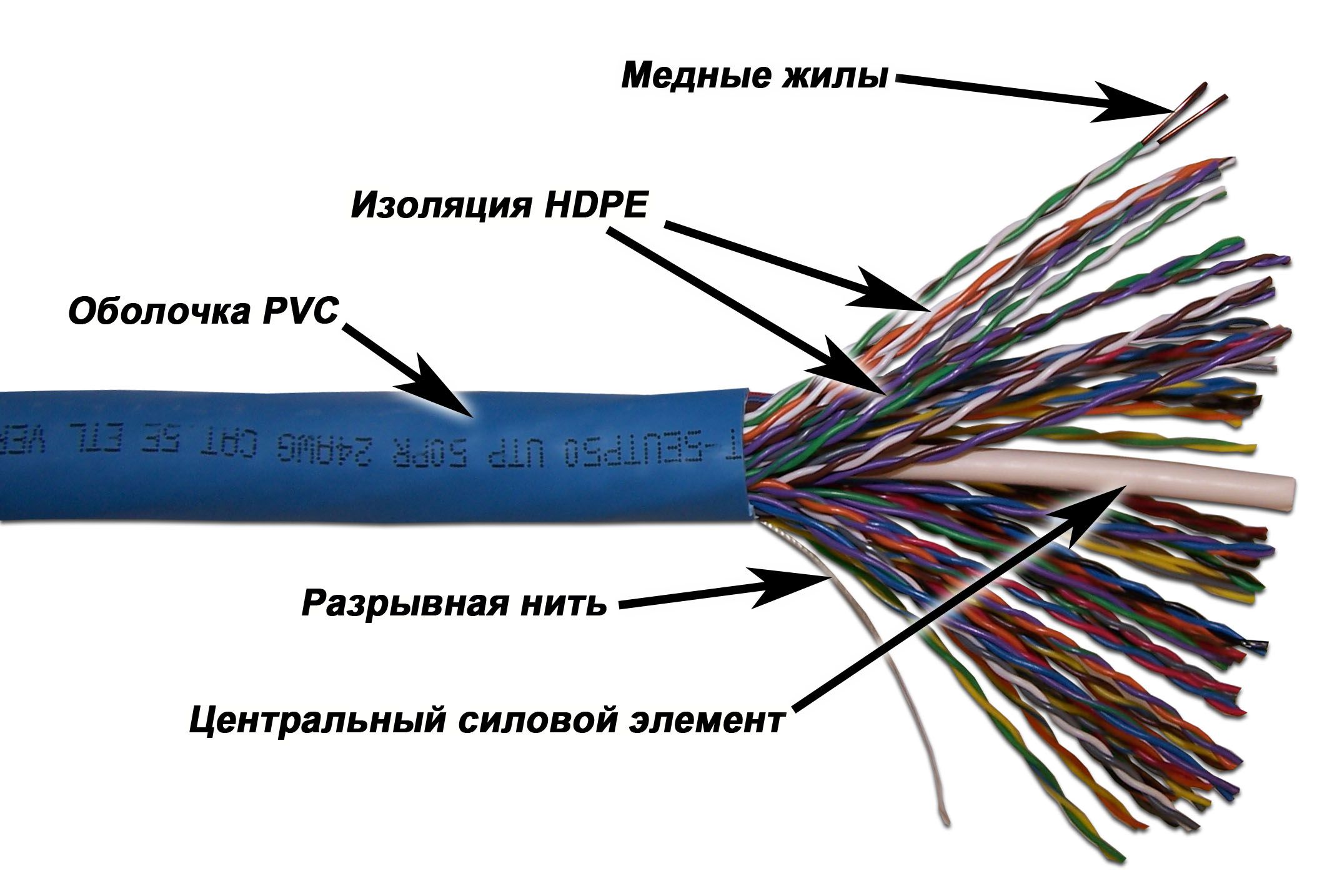 TWT ������ UTP, 50 ���, ���. 5e, �����, 305� � ���., TWT-5EUTP50