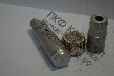 ����������������� �55 ��